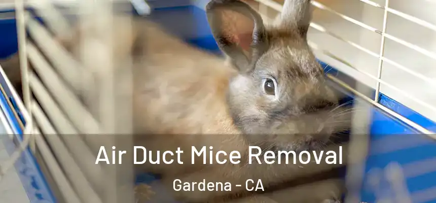  Air Duct Mice Removal Gardena - CA