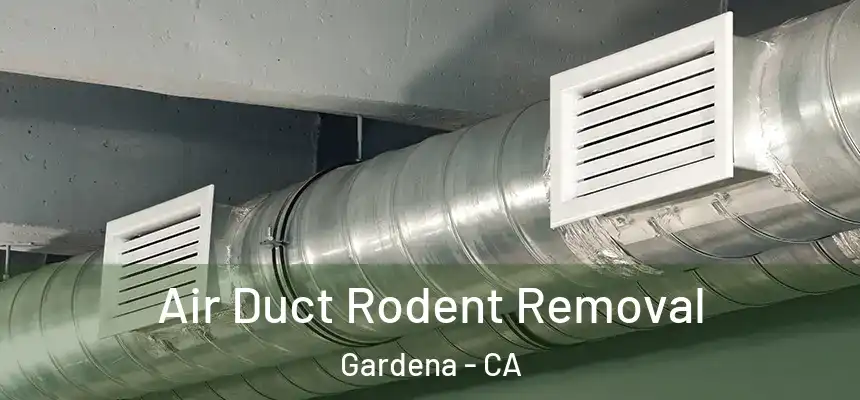  Air Duct Rodent Removal Gardena - CA