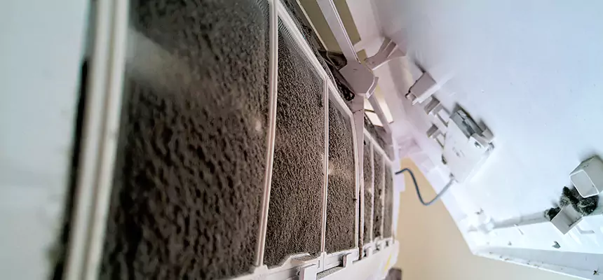 Preventive Air Duct Bacteria Removal in Gardena