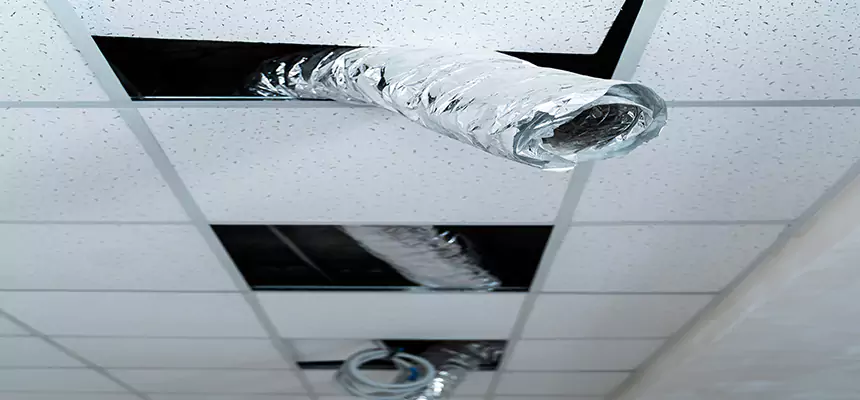 Affordable HVAC Sanitizing After Pest Removal in Gardena