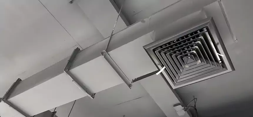 Our Rodent Droppings In Vents Services in Gardena, CA