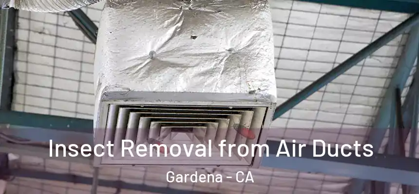  Insect Removal from Air Ducts Gardena - CA