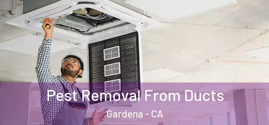  Pest Removal From Ducts Gardena - CA