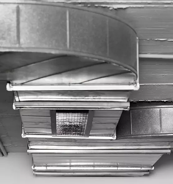 Professional Air Duct Pet Hair Removal in Gardena, CA