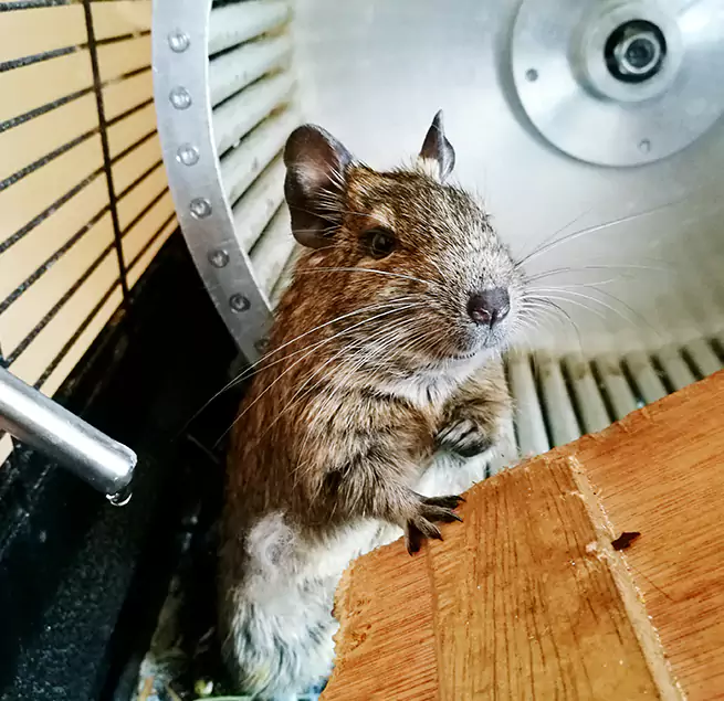 Why Homeowners & Businesses Trust Us Gardena, CA