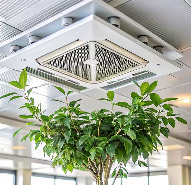 Why Homeowners & Businesses Trust Us in Gardena, CA?